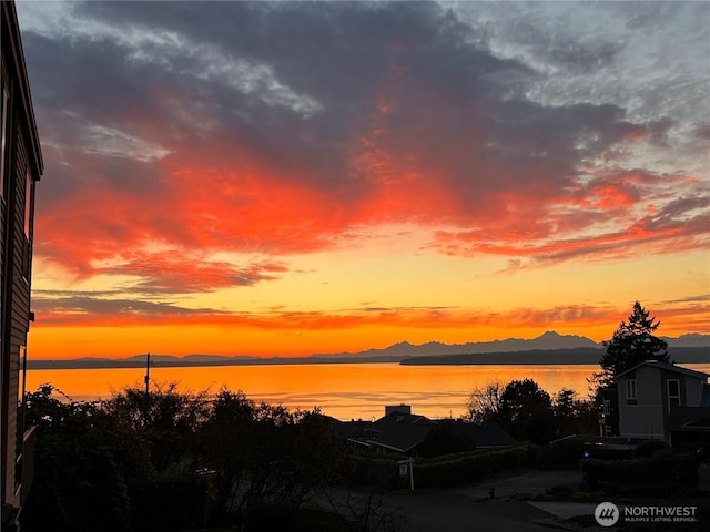 19547 23rd Ave NW, Shoreline, WA 98177 - photo 29
