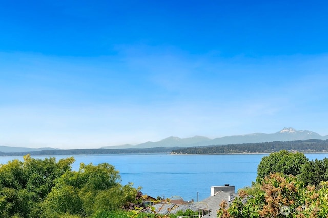 19547 23rd Ave NW, Shoreline, WA 98177 - photo 4