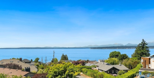 19547 23rd Ave NW, Shoreline, WA 98177 - photo 19