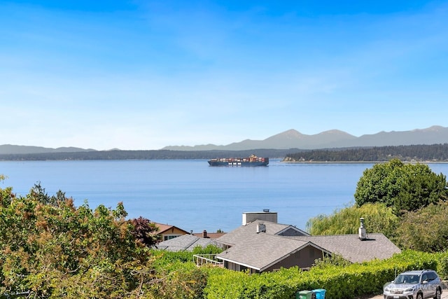 19547 23rd Ave NW, Shoreline, WA 98177 - photo 20