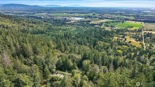 4054 Cabrant Rd, Everson, WA 98247 - aerial view of a mountain backdrop and a heavily wooded area