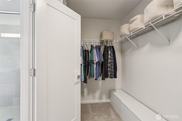 16204 27th Street Ct E, Lake Tapps, WA 98391 - spacious closet featuring carpet floors