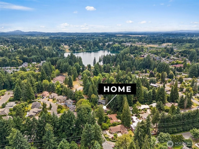 3527 Cain Rd SE, Olympia, WA 98501 - aerial view of residential area featuring a heavily wooded area and a large body of water