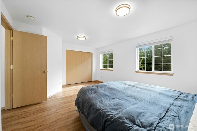19350 113th Ave SE, Kent, WA 98031 - bedroom featuring light wood-style floors and a closet