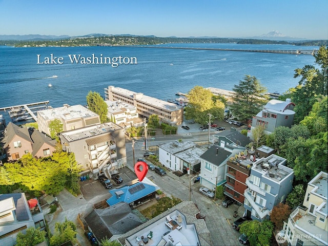 3522 S Leschi Pl, Seattle, WA 98144 - bird's eye view of a water and mountain view
