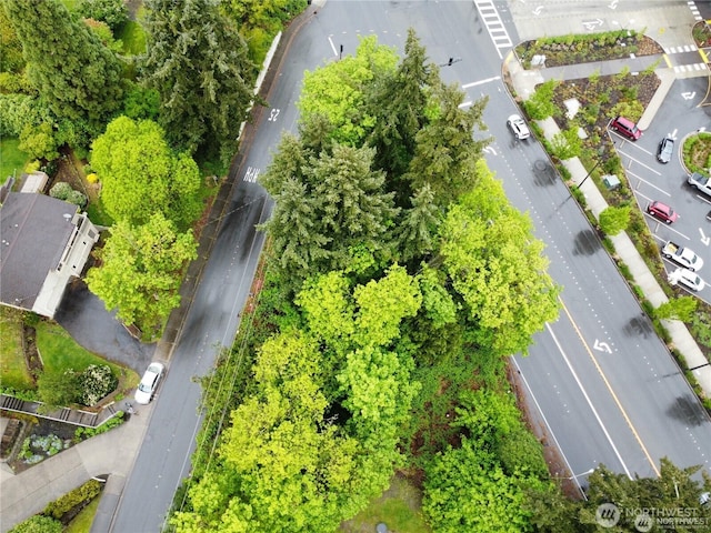 2705 Bellevue Way SE, Bellevue, WA 98004 - photo 7