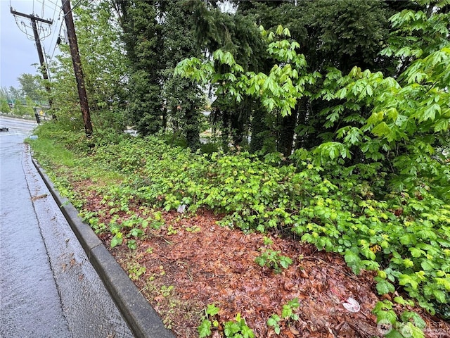 2705 Bellevue Way SE, Bellevue, WA 98004 - photo 10