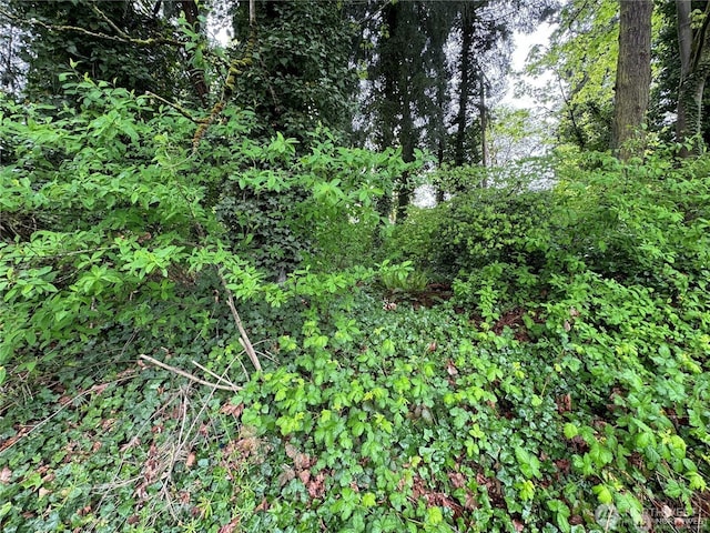 2705 Bellevue Way SE, Bellevue, WA 98004 - photo 12
