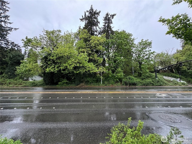 2705 Bellevue Way SE, Bellevue, WA 98004 - photo 13