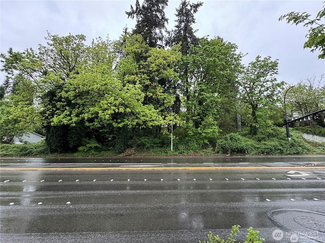 2705 Bellevue Way SE, Bellevue, WA 98004 - photo 14