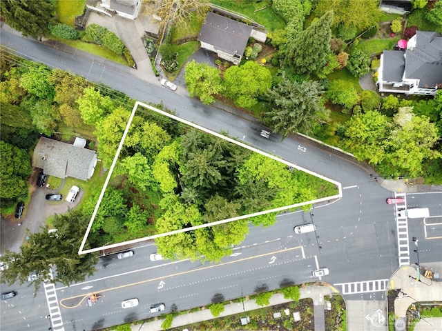 2705 Bellevue Way SE, Bellevue, WA 98004 - photo 1