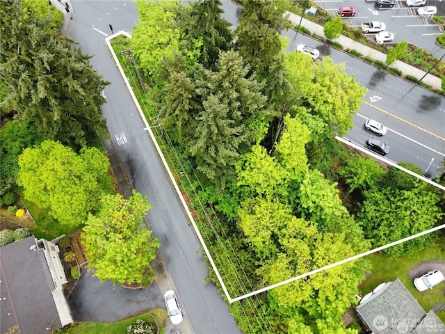 2705 Bellevue Way SE, Bellevue, WA 98004 - photo 3