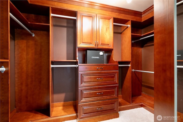 15101 91st Pl NE, Bothell, WA 98011 - view of walk in closet