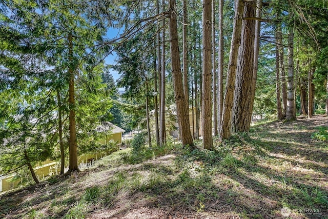 45 Windward Dr, Bellingham, WA 98229 - photo 35