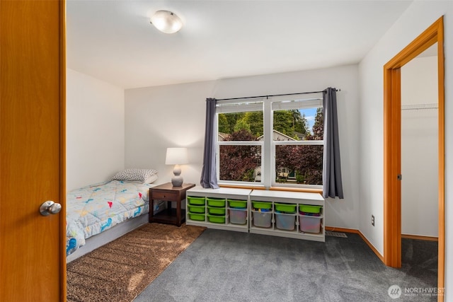 2415 103rd Dr SE, Lake Stevens, WA 98258 - photo 13