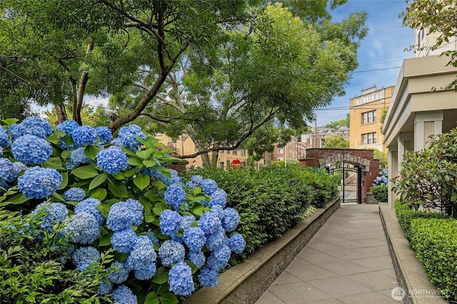 530 4th Ave W Unit 405, Seattle, WA 98119 - surrounding community featuring a gate