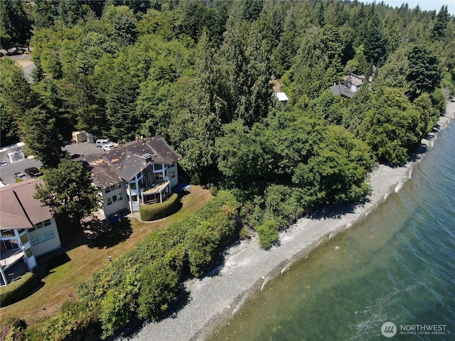 140 Admiralty Ln Unit 370, Port Ludlow, WA 98365 - bird's eye view of a heavily wooded area and a nearby body of water