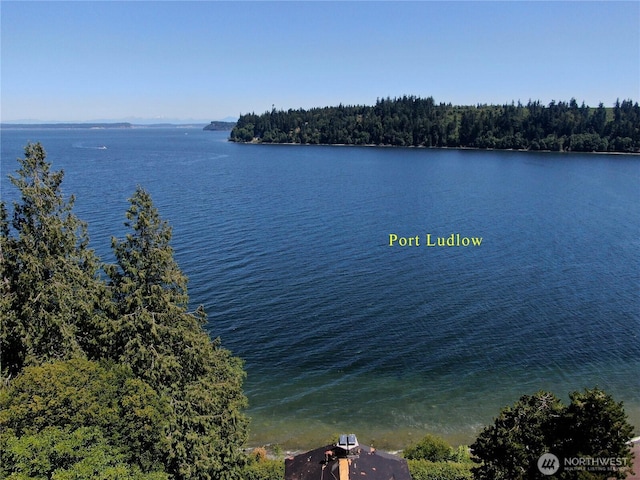 140 Admiralty Ln Unit 370, Port Ludlow, WA 98365 - water view featuring a heavily wooded area