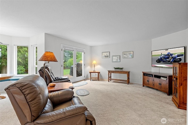 4015 E Broadway St, Mount Vernon, WA 98274 - living room featuring light colored carpet