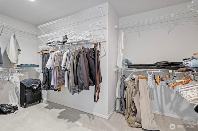 4015 E Broadway St, Mount Vernon, WA 98274 - spacious closet with carpet flooring