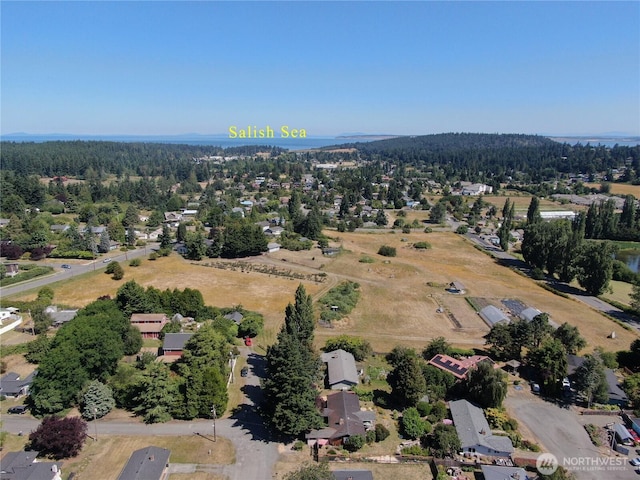 2426 Haines St, Port Townsend, WA 98368 - bird's eye view of a heavily wooded area