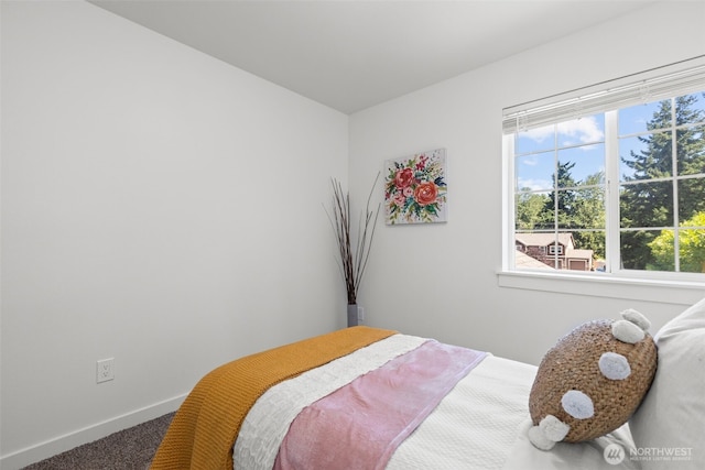 1525 147th Pl SW, Lynnwood, WA 98087 - photo 29