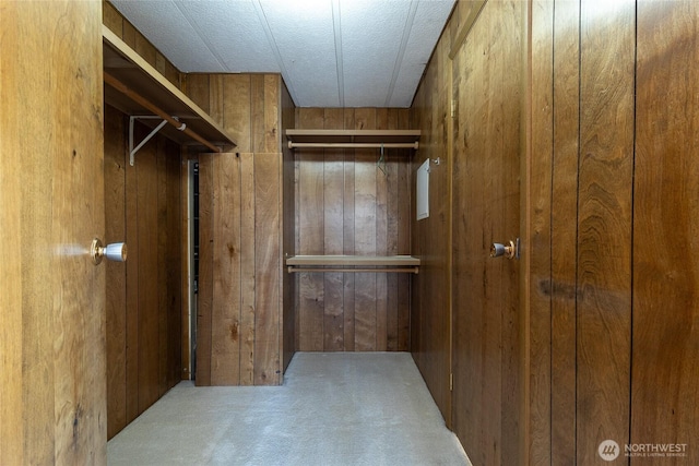 66 Onyx St, Walla Walla, WA 99362 - walk in closet with carpet floors