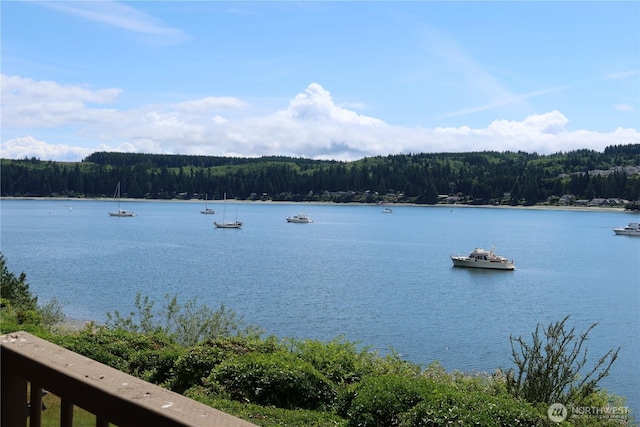 181 N Bay Ln Unit 2, Port Ludlow, WA 98165 - water view featuring a heavily wooded area
