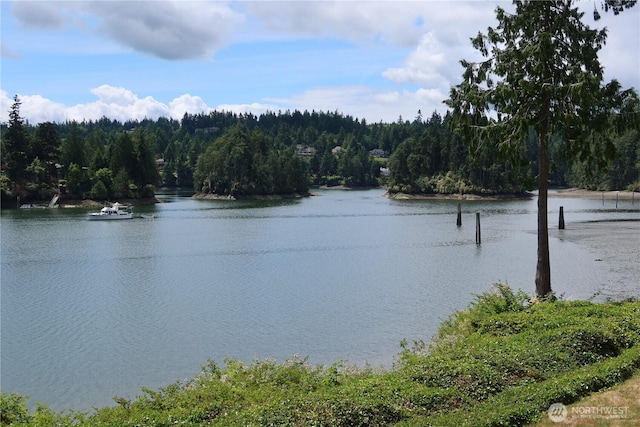 181 N Bay Ln Unit 2, Port Ludlow, WA 98165 - water view with a heavily wooded area