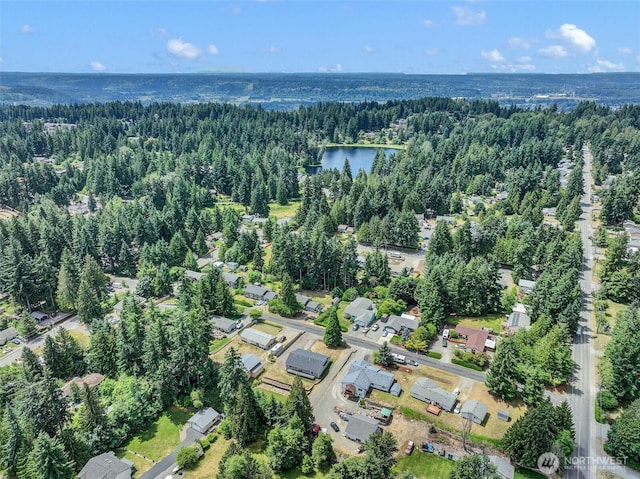 7212 188th Ave E, Bonney Lake, WA 98391 - aerial view of property's location featuring a heavily wooded area and a large body of water