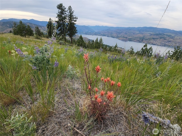 250 Hawks Ridge Rd, Chelan, WA 98816 - photo 10
