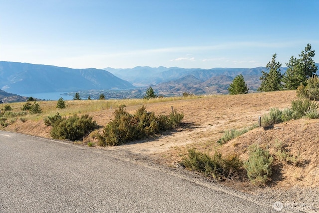 250 Hawks Ridge Rd, Chelan, WA 98816 - photo 3