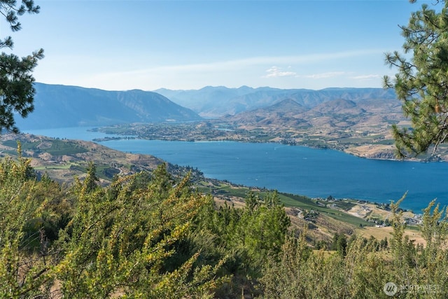 250 Hawks Ridge Rd, Chelan, WA 98816 - photo 2