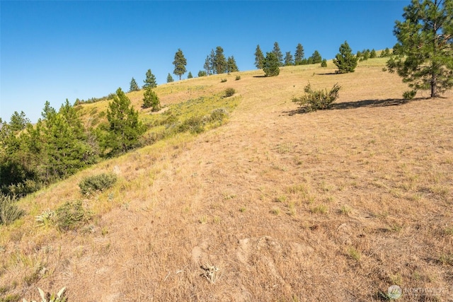 250 Hawks Ridge Rd, Chelan, WA 98816 - photo 13