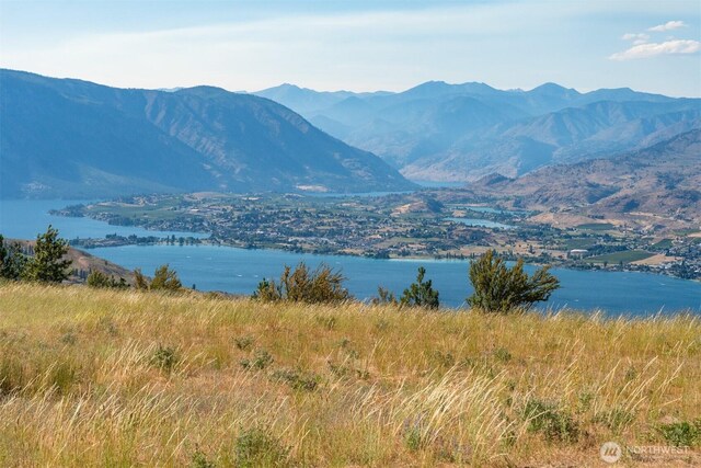 250 Hawks Ridge Rd, Chelan, WA 98816 - photo 5