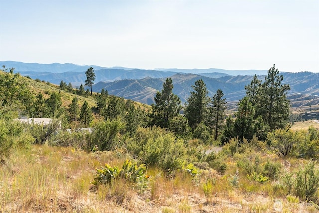 250 Hawks Ridge Rd, Chelan, WA 98816 - photo 11
