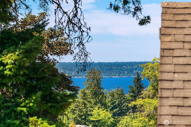 11226 NE 67th St, Kirkland, WA 98033 - water view featuring a forest