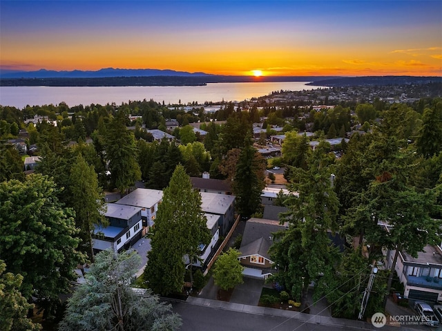 11226 NE 67th St, Kirkland, WA 98033 - aerial view of a nearby body of water