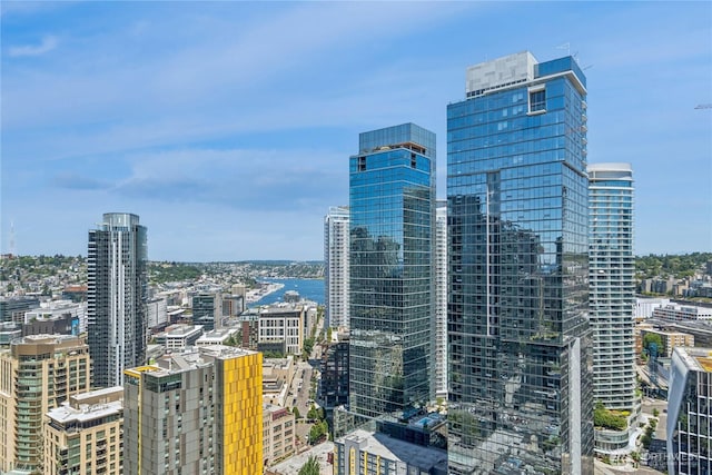 819 Virginia St Unit 2408, Seattle, WA 98101 - view of city