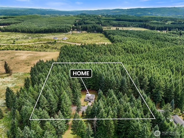103 Nikula Rd W, Winlock, WA 98596 - aerial overview of property's location with a mountainous background and property parcel outlined