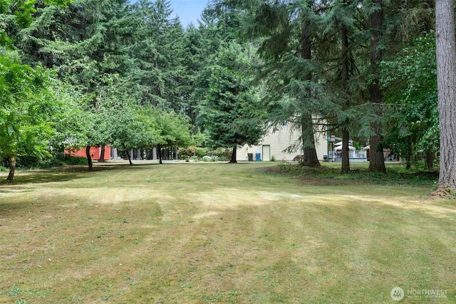 103 Nikula Rd W, Winlock, WA 98596 - view of green lawn