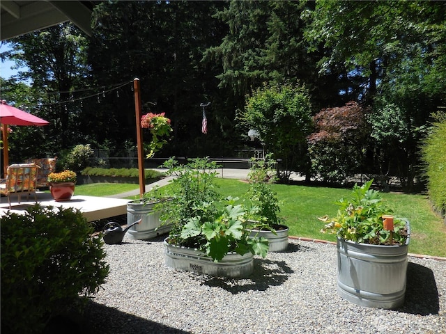 5201 SE Delta Pl, Port Orchard, WA 98367 - photo 5