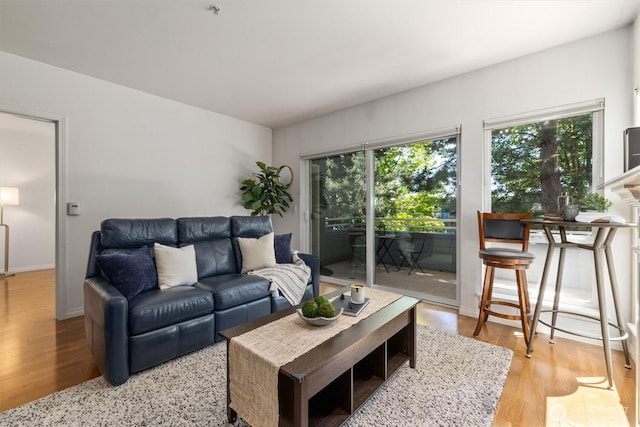 3112 SW Avalon Way Unit 102, Seattle, WA 98126 - living area featuring plenty of natural light and light wood finished floors