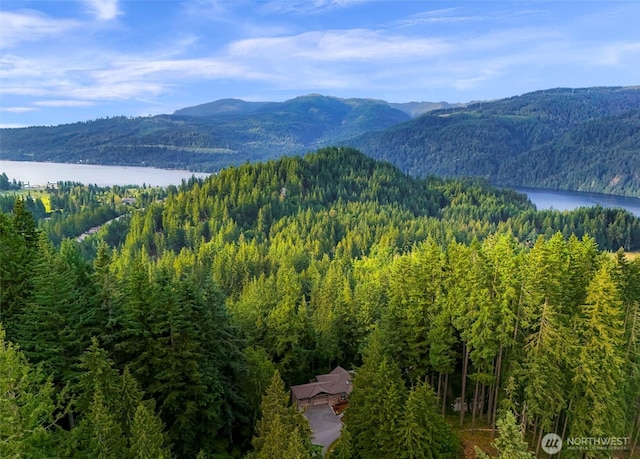 8 Southern Ct, Bellingham, WA 98229 - view of mountain background featuring a forest and a large body of water