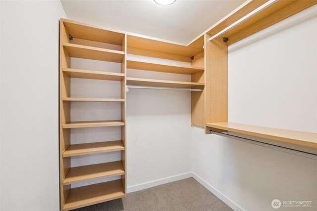 8351 Jones Ave NW, Seattle, WA 98117 - photo 20