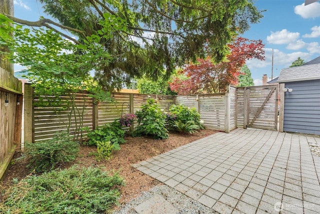 8351 Jones Ave NW, Seattle, WA 98117 - photo 34