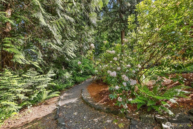 9820 NE Bch Crest Dr, Bainbridge Island, WA 98110 - photo 29