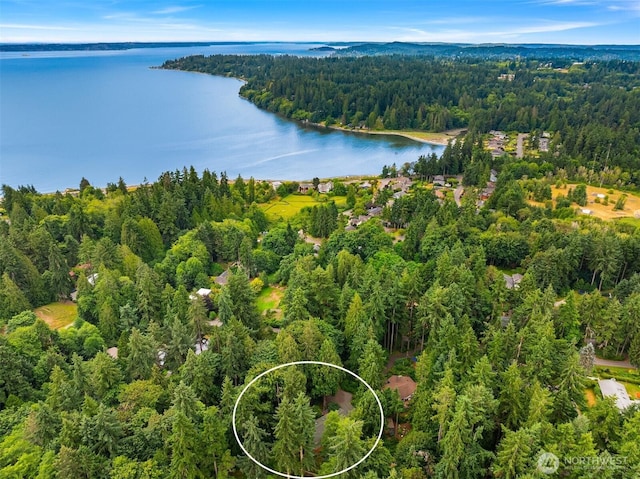 9820 NE Bch Crest Dr, Bainbridge Island, WA 98110 - photo 33