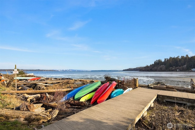9820 NE Bch Crest Dr, Bainbridge Island, WA 98110 - photo 35
