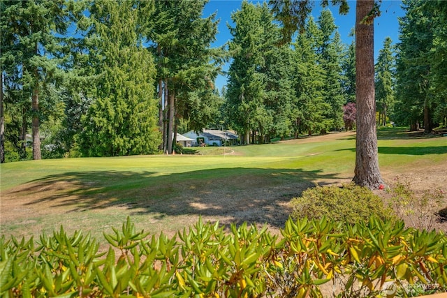 3500 SW 325th St, Federal Way, WA 98023 - view of green lawn with view of wooded area and golf course view